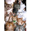 Funny Lovely Cats Full Drill 5D Diy Diamond Painting Kits Uk VM91027