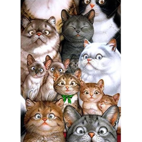 Funny Lovely Cats Full Drill 5D Diy Diamond Painting Kits Uk VM91027