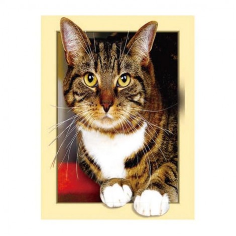 Hot Sale Cat Pattern 5d Diy Cross Stitch Full Diamond Painting Kits UK QB7033