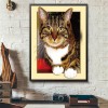 Hot Sale Cat Pattern 5d Diy Cross Stitch Full Diamond Painting Kits UK QB7033