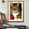 Hot Sale Cat Pattern 5d Diy Cross Stitch Full Diamond Painting Kits UK QB7033