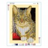 Hot Sale Cat Pattern 5d Diy Cross Stitch Full Diamond Painting Kits UK QB7033