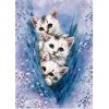 2019 Oil Painting Style Pet Cute Cats Picture 5d Diy Diamond Painting Kits UK VM7256
