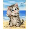 Cute Kitten And Conch On Beach Diy 5d Cross Stitch Rhinestone Painting UK VM01199