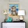 Cute Kitten And Conch On Beach Diy 5d Cross Stitch Rhinestone Painting UK VM01199