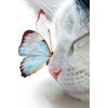 5D Diy Diamond Painting Cat Diamond Embroidery Cross Stitch Set VM90395