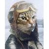 Special Full Drill 5D DIY Diamond Painting Cat Pilot VM92331