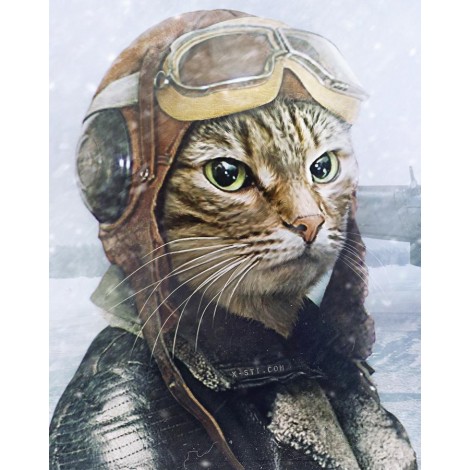 Special Full Drill 5D DIY Diamond Painting Cat Pilot VM92331