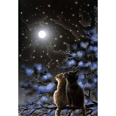 Moon Night Cat Cross Stitch 5D Diy Diamond Embroidery VM92060