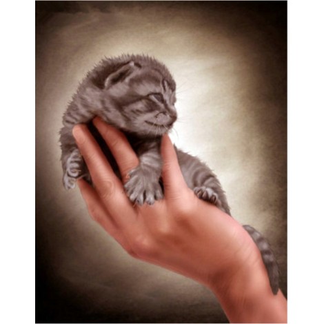 New Arrival Hot Sale Cute Cat In Hand 5d Diy Diamond Painting Kits UK VM7447