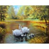 Oil Painting Style Swans Family 5D DIY Diamond Painting Kits UK NA0715