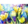 Oil Painting Style New Arrival 5d Diy Diamond Painting Embroidery Flowers Kits UK VM20454