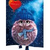 2019 New Hot Sale Owl Needlework 5d Diy Diamond Painting Kits UK VM9138