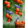 2019 New Hot Sale Animal Cute Bird 5d Diy Diamond Painting Kits UK VM8997