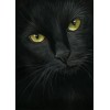 2019 New Hot Sale Mysterious Black Cat 5D Square Diamond Painting UK VM1134