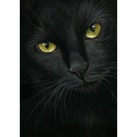 2019 New Hot Sale Mysterious Black Cat 5D Square Diamond Painting UK VM1134