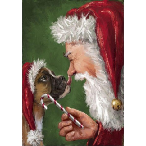 Santa Claus 5d Diy Diamond Painting Kits UK NW91097