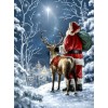 Santa Claus 5d Diy Diamond Painting Kits UK NW91102