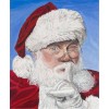 Santa Claus 5d Diy Diamond Painting Kits UK NW91110