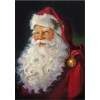 Santa Claus 5d Diy Diamond Painting Kits UK NW91118