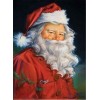 Santa Claus 5d Diy Diamond Painting Kits UK NW91159