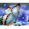 2019 New Hot Sale Kids Gift Colorful 5d Diy Diamond Painting Kits Butterfly UK VM4057