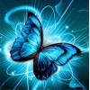 2019 Special Beautiful Blue Butterfly Picture Patterns Diamond Painting Kits UK VM7650