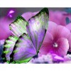 2019 New Hot Sale Butterfly Wall Decor 5d Diy Diamond Painting Kits UK VM9902