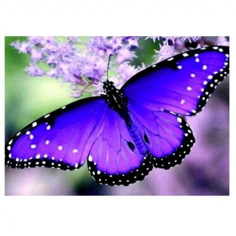 Blue Best Modern Art Style Butterfly Diy 5d Full Diamond Painting Kits UK QB55684
