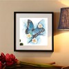 Hot Sale Modern Art Style Butterfly Diy 5d Full Diamond Painting Kits UK QB5565
