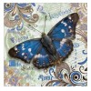 New Arrival Butterfly Pattern 5d Diy Diamond Painting Kits UK QB8015