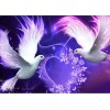 Love Pigeon Diy 5d Full Diamond Painting Kits UK KN80037