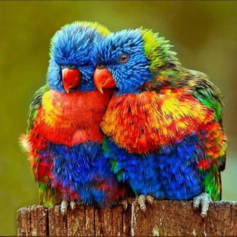 Special Animal Birds Embroidery Mosaic VM92305