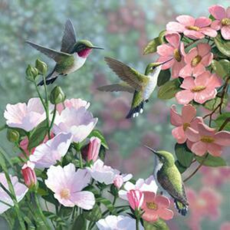 Love Bird Flowers Fu...