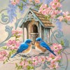 Birds Full Drill 5D DIY Diamond Painting Kits UK Embroidery Arts Cross Stitch VM90561