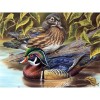 5D Diy Diamond Painting Mandarin Duck Embroidery Art Needlework VM90505