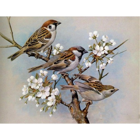Affordable Birds 5d Diy Diamond Painting Kits UK VM07552