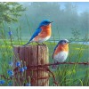 2019 New Hot Sale Fast Delivery Blue Birds 5d Resin Diamond Painting UK VM58605