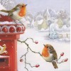 2019 Winter Animal Snow Bird 5d Diy Diamond Painting Kits UK VM8989