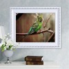 Hot Sale Style Bird Pattern Diy 5d Full Diamond Painting Kits UK QB5823