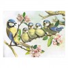New Oil Painting Style Bird Pattern Diy 5d Full Drill Diamond Painting Kits UK QB5819
