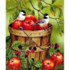 New Arrival Hot Sale Bird Pattern Wall Decor 5d Diy Diamond Painting Kits UK VM9537