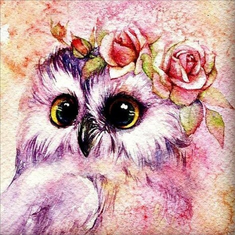 2019 Watercolor Owls Pattern Decor 5d Diy Diamond Painting Kits UK VM9822