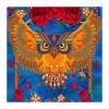 Cheap Modern Art Styles Colorful Owl Diamond Painting Kits UK AF9221