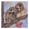 Warm And Lovely Oil Painting Styles Owl Diamond Painting Kits UK AF9230