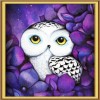 Cartoon Owl Full Drill 5D DIY Diamond Painting Kits VM90750