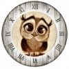 Cartoon Hot Sale  5D Diy Diamond Painting Cross Stitch Owls UK VM26981