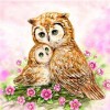 2019 Hot Sale Diamond Owl 5d Diy Diamond Painting Kits UK VM7302