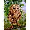 Cartoon Animal Cheapest 5D DIY Diamond Painting Owl Kits UK VM90588