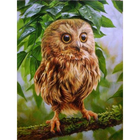Cartoon Animal Cheapest 5D DIY Diamond Painting Owl Kits UK VM90588